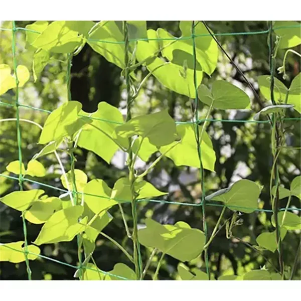 Mesh - plant support 2x20m Gardlov 23980
