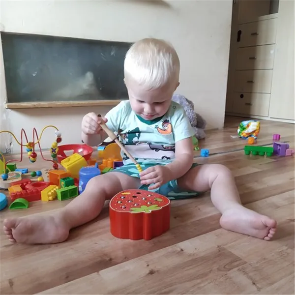 Koka zemeņu spēle 22411
