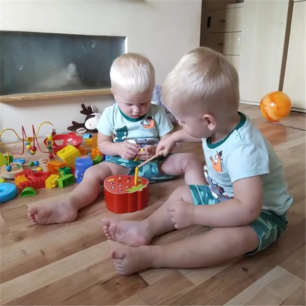 Wooden strawberry game 22411