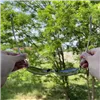 солнцезащитные очки Trizand 23633