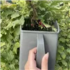 Gardlov 24249 Fruit Picker