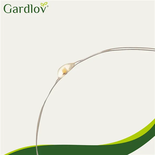 Saulės girlianda 15m IP44 Gardlov 24007
