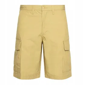 Šortsid Vans SERVICE CARGO RELAXED SHORT VN0A5FL75QJ1 Kollane