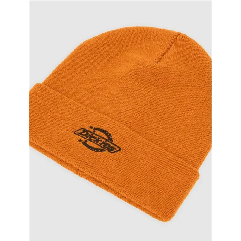 Кепка Dickies Summerdale Темно-коричневый