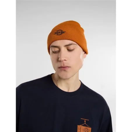 Кепка Dickies Summerdale Темно-коричневый