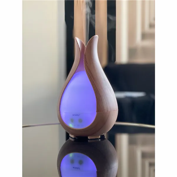 Lõhna hajuti - niisutaja 200ml Ruhhy 24610