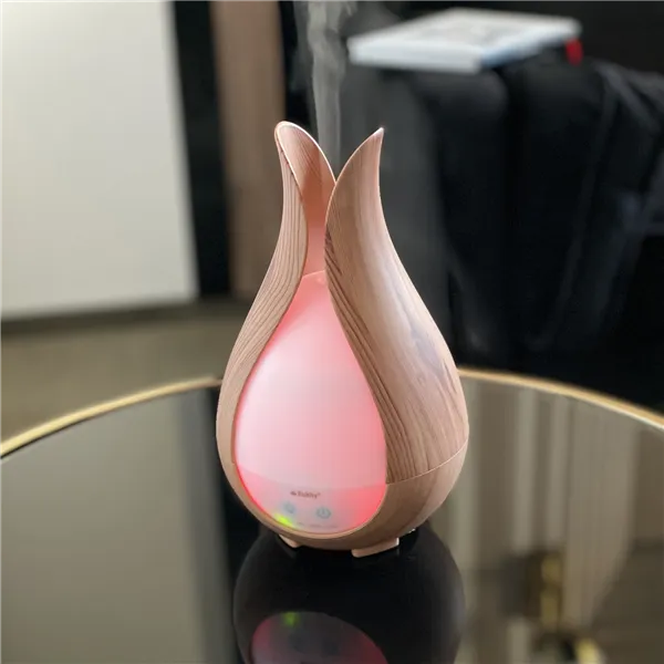 Smaržu difuzors - mitrinātājs 200ml Ruhhy 24610