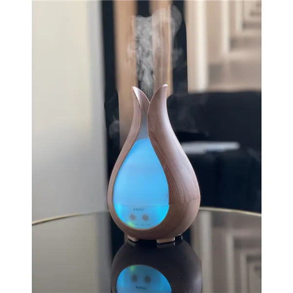 Smaržu difuzors - mitrinātājs 200ml Ruhhy 24610