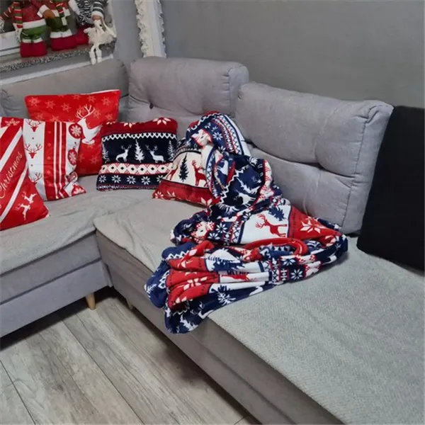 Sega 1,6x2m + 2 spilvendrānas Ruhhy 24825
