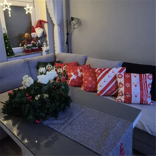 Koristeellinen tyynyliina 45x45xcm Ruhhy x4 24827