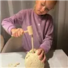 Яйцо динозавра — раскопки 24981