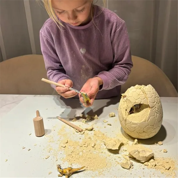 Dinosaur Egg - Excavation Site 24981