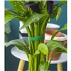 Velcro garden tape 5m Gardlov 25362