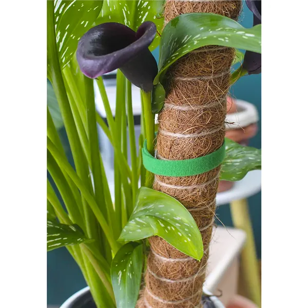 Velcro sodo juosta 5m Gardlov 25362