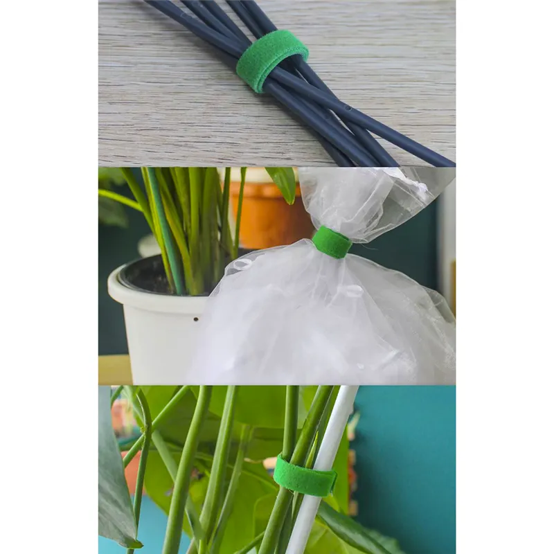 Dārza lente ar Velcro aizdari 5m Gardlov 25362