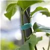 Dārza lente ar Velcro aizdari 5m Gardlov 25362