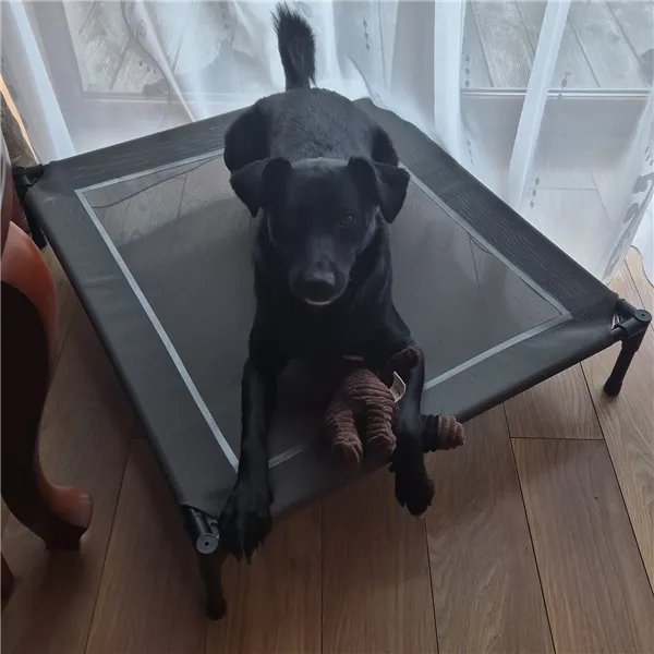 Covered dog bed Purlov 25428