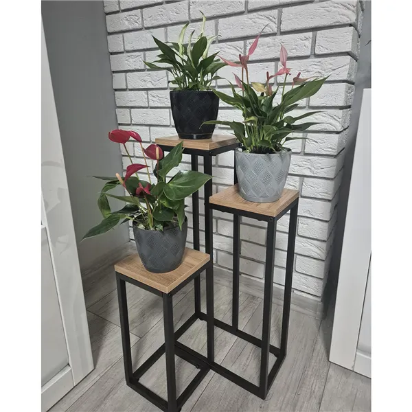Lilleposter 67cm Ruhhy 25626