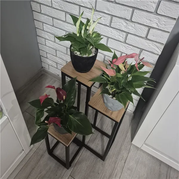 Standing flower stand 67cm Ruhhy 25626