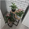 Kukkateline 67 cm Ruhhy 25626