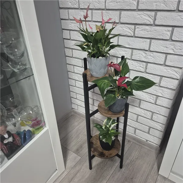 Pastatomas gėlių stovas 80 cm Ruhhy 25627