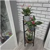 Kukkateline 80 cm Ruhhy 25627