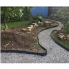 Sodo siena 6cm - 10m Gardlov 24562