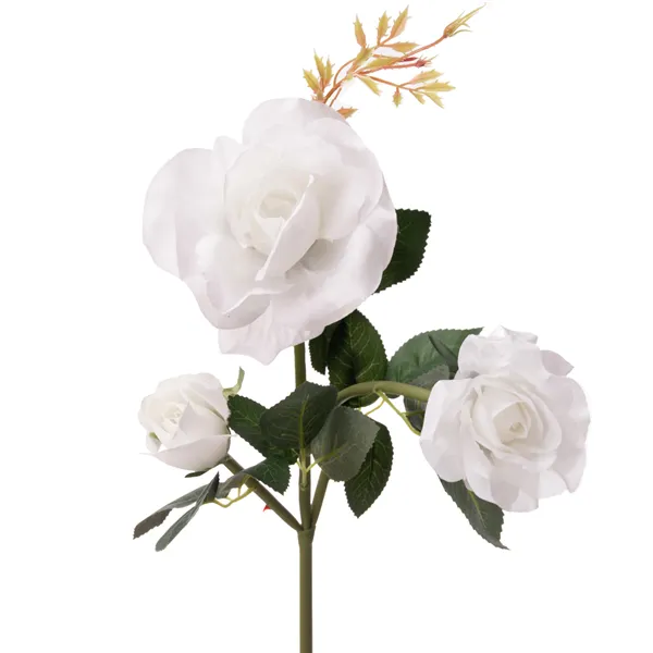 Päikeselambi rosett Gardlov 25282