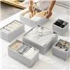 Underwear organizer - set of 6 Ruhhy 25764