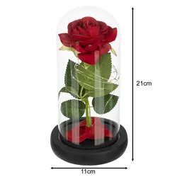 Rose in glass - shining Ruhhy 25682