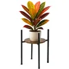 Lilleposter 41 cm Ruhhy 26049