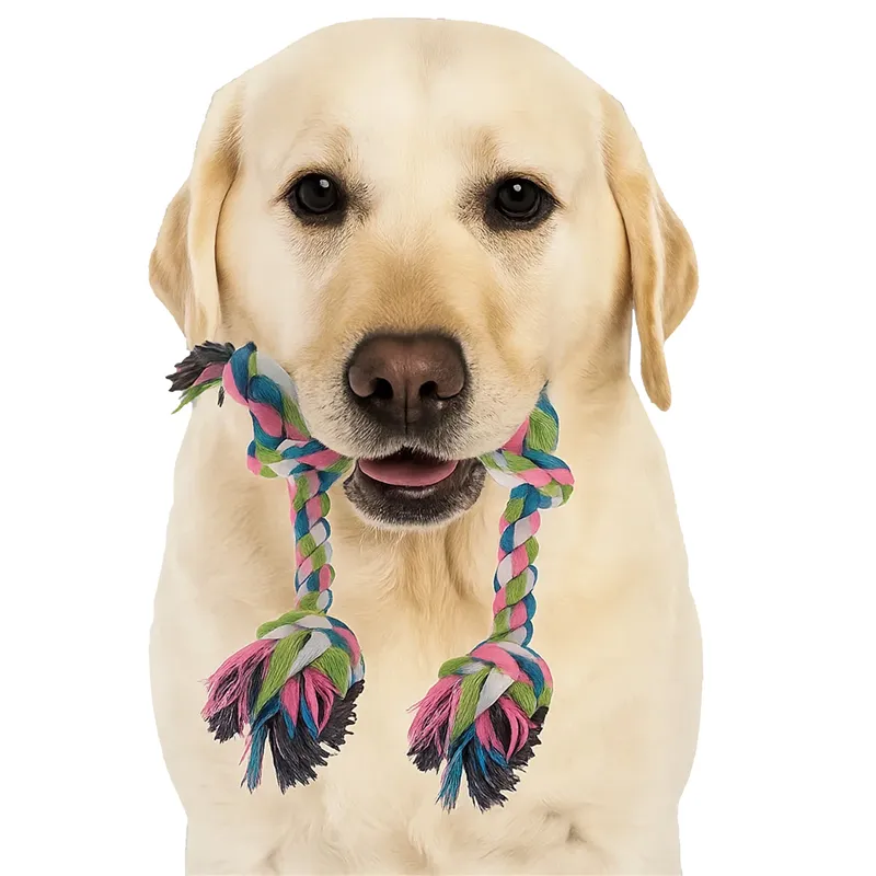 Koera närimismänguasi, tirimiskomplekt 25384