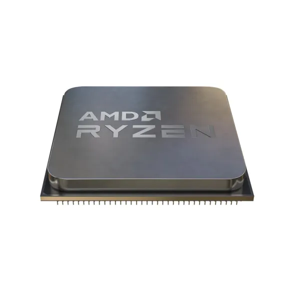 procesorius AMD AMD Ryzen 4300G AMD AM4