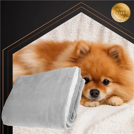 Double-sided blanket 150x200cm light gray Ruhhy 26293