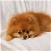 Двустороннее одеяло 150х200см тёмно-серое Ruhhy 26292