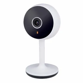 Surveillance Camera Alpina