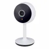 Surveillance Camera Alpina