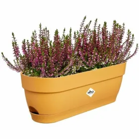 Sodinukas Elho   50 cm Plastmasinis