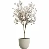 Plant pot Elho