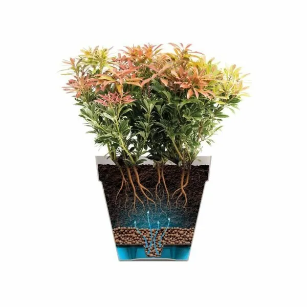 Taimepott Elho