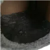Cat house with bed Purlov 26215