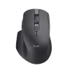 Wireless Mouse Trust 24820 Black 3200 DPI