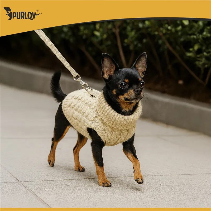 Dog/cat clothes size S beige Purlov 26216