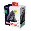 Ergonomic Optical Mouse Trust 25144 Black 2400 dpi