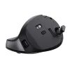 Ergonomic Optical Mouse Trust Bayo II Black 2400 dpi