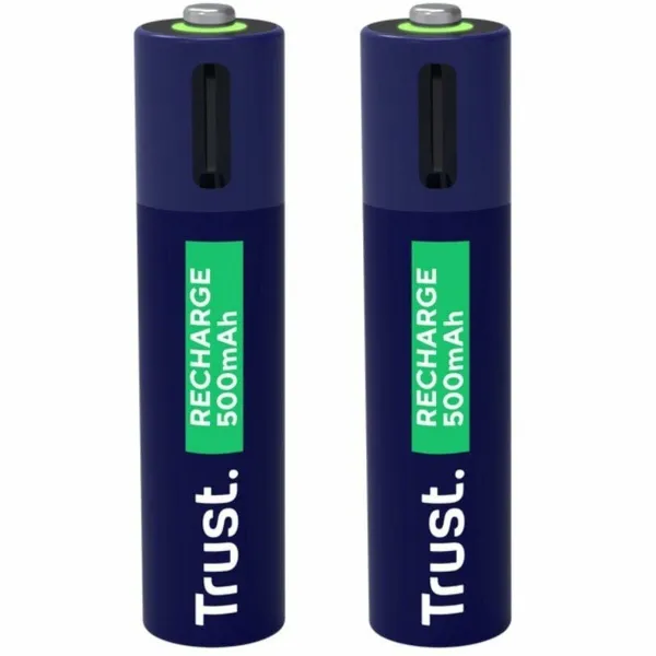Batteries Trust 25585 AAA