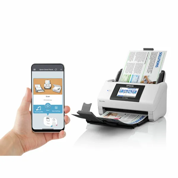 Skeneriai Epson B11B265401