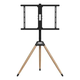 TV Statīvs GEMBIRD TVS-75ST-01