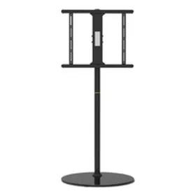 TV laikiklis GEMBIRD TVS-65S-02