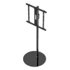 TV Mount GEMBIRD TVS-65S-02